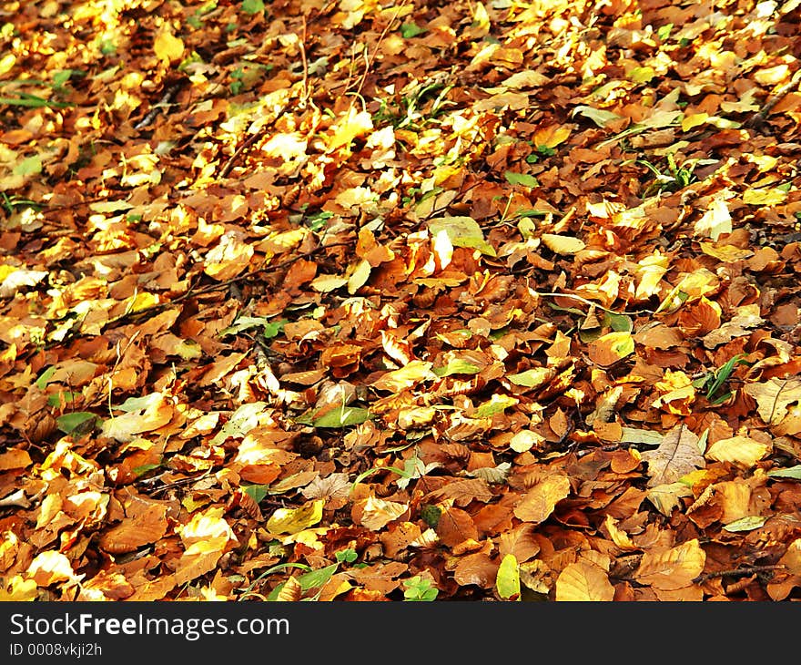 on a sunny october day. on a sunny october day