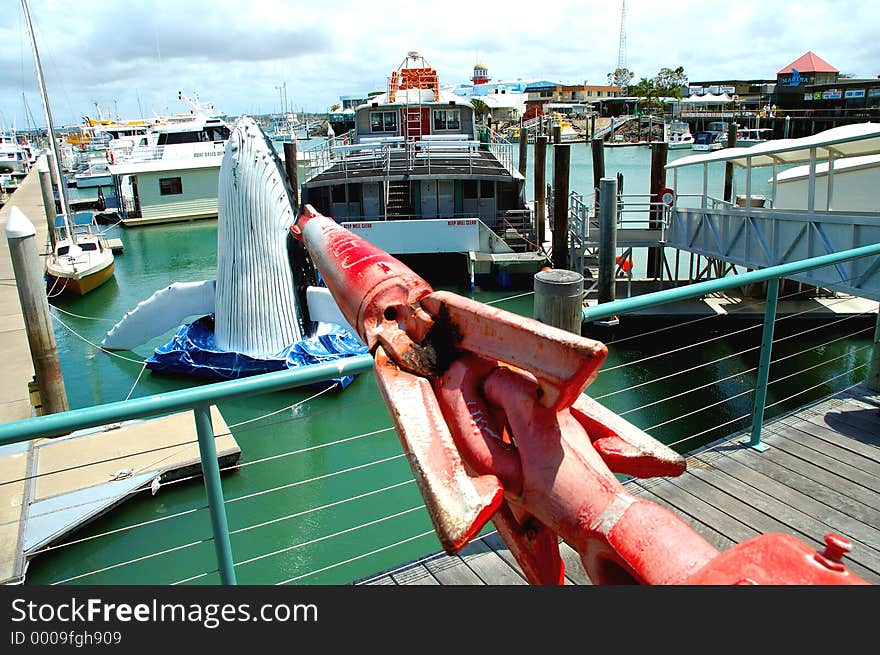 This old whale harpoon now watches over on of the biggest fleets of whale watching boats in the world. Queensland, Australia