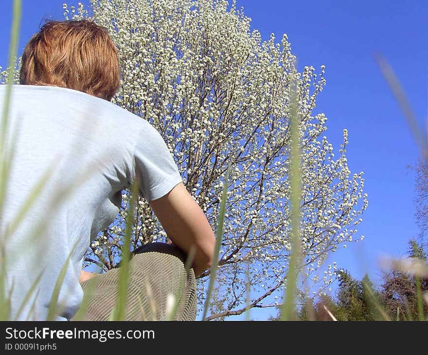 Young Man sitting in the grass, looking at a tree. Young Man sitting in the grass, looking at a tree.