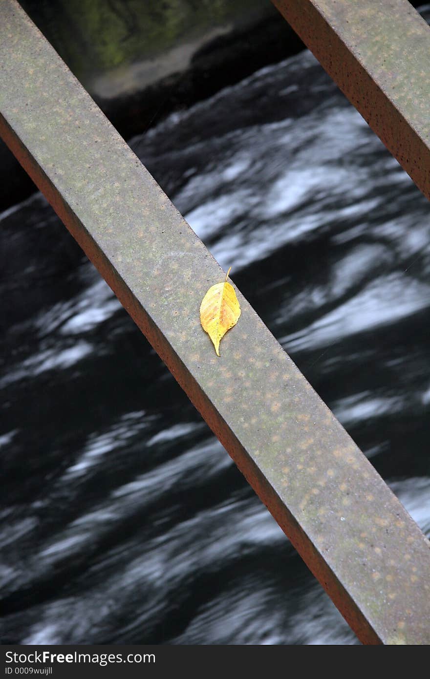 A single leaf sitting on a steel beam across an aquaduct. A single leaf sitting on a steel beam across an aquaduct.