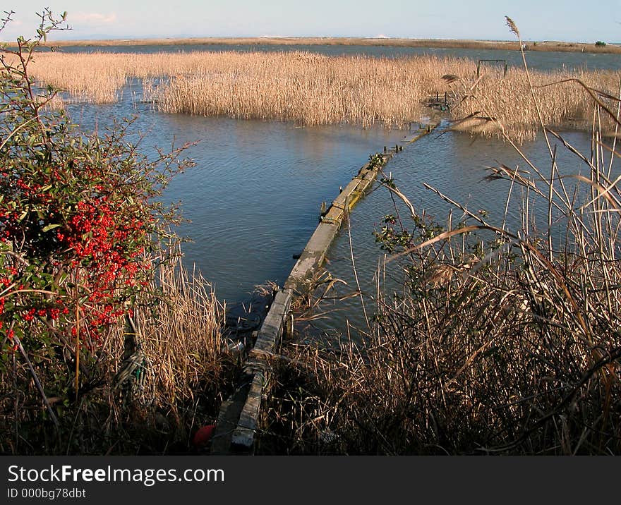 A wooden footbridge over a pond near the beach.