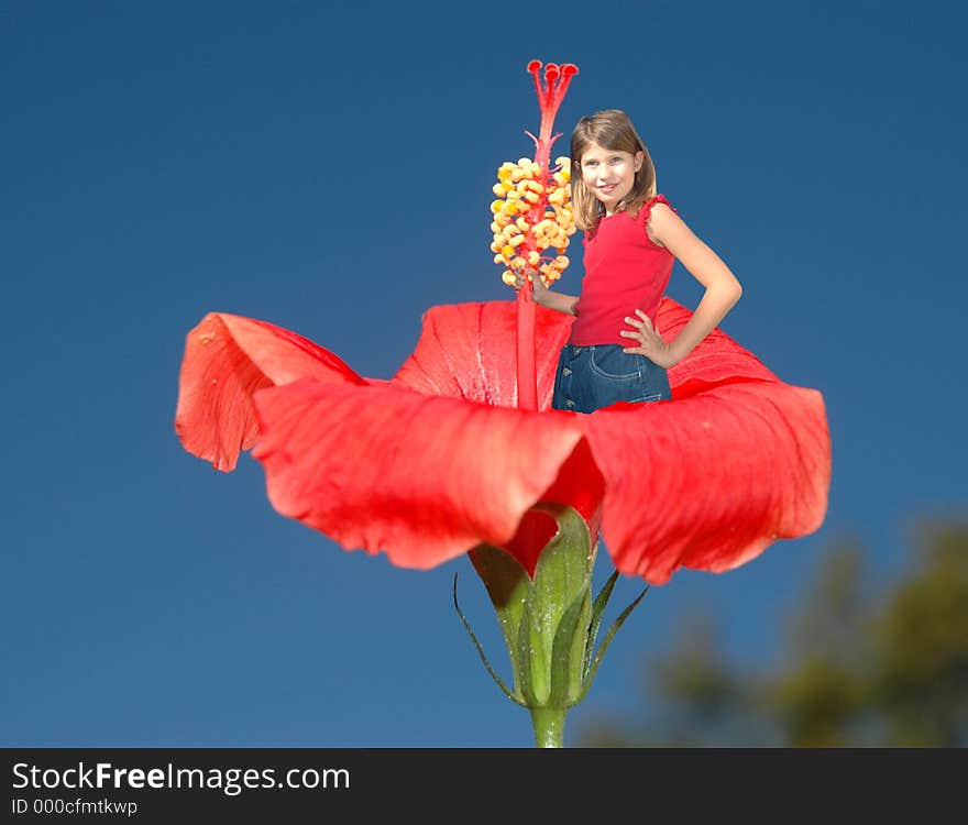 Girl inside a hibiscus. Girl inside a hibiscus