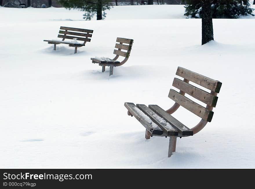 Benches in Snow