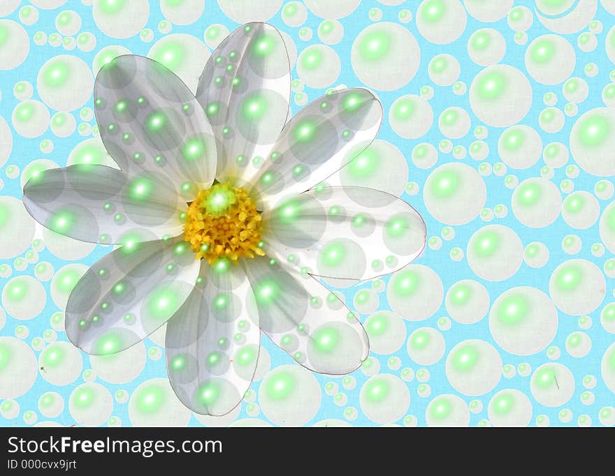 Flower floating in bubbles. Flower floating in bubbles