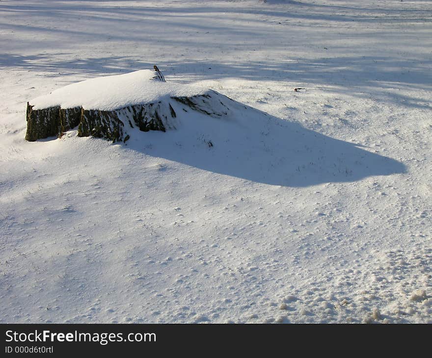 Winter casts a long shadow.