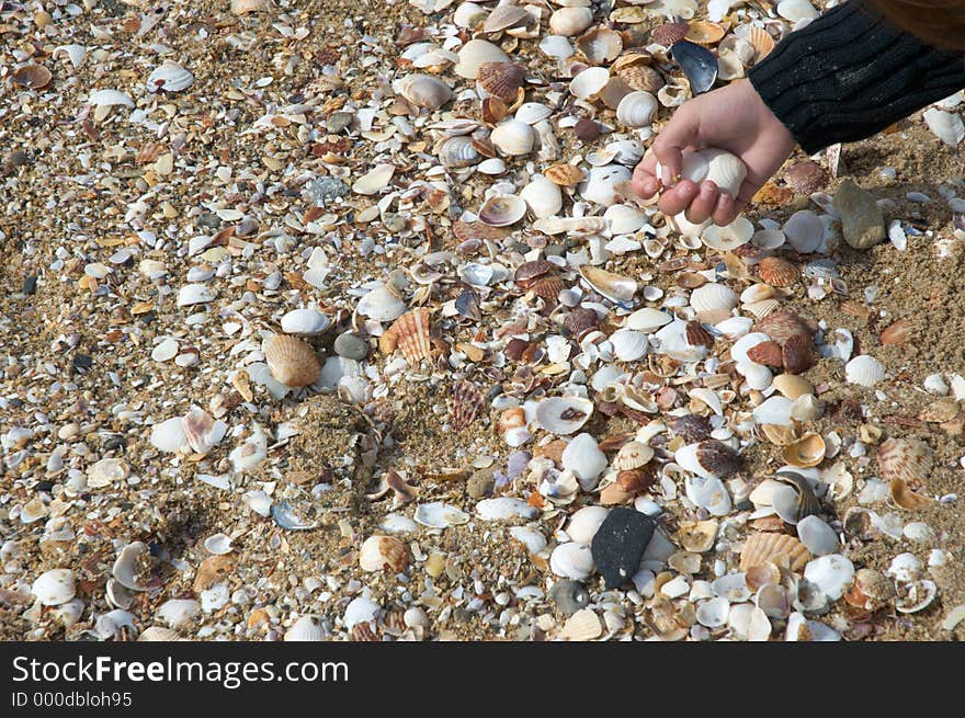 Hand collecting seashells