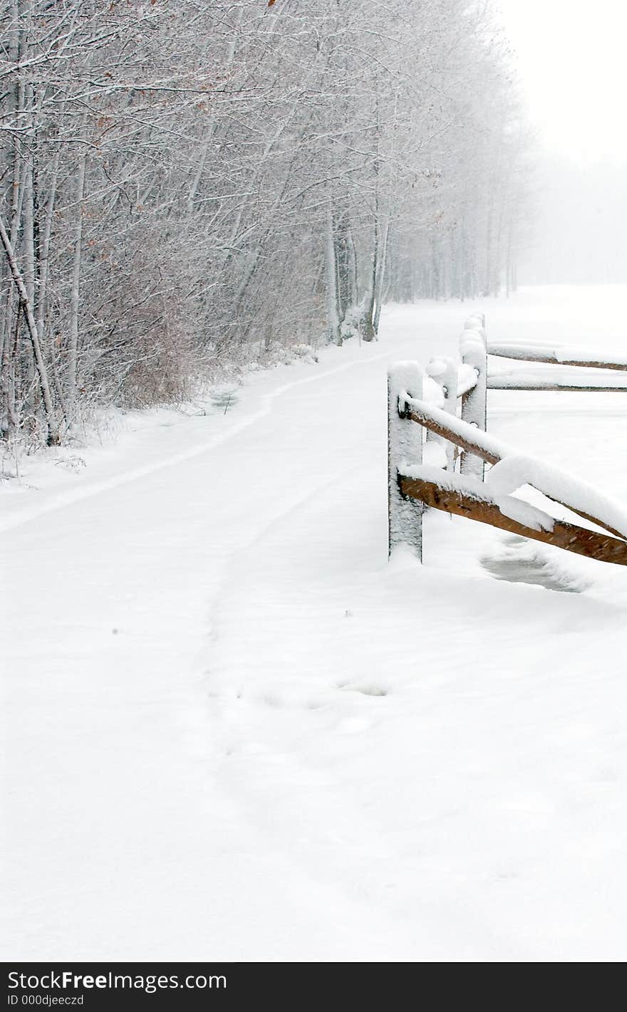 Winter Path