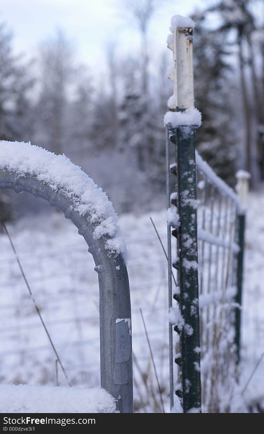 Winter Fence