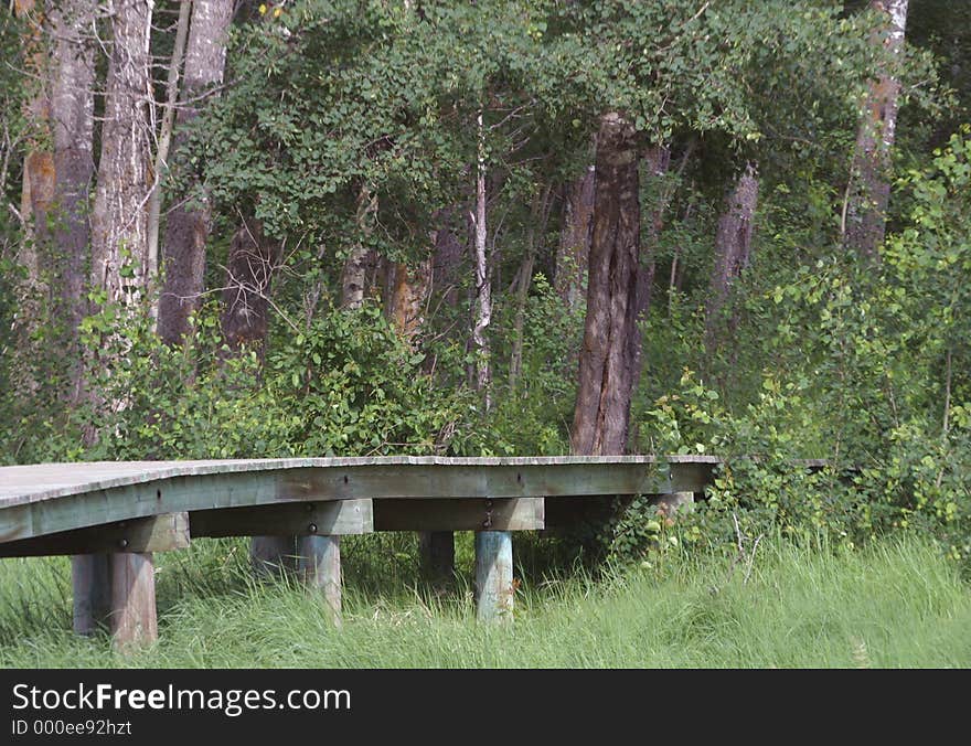 A wooden walkway leads into the forest.