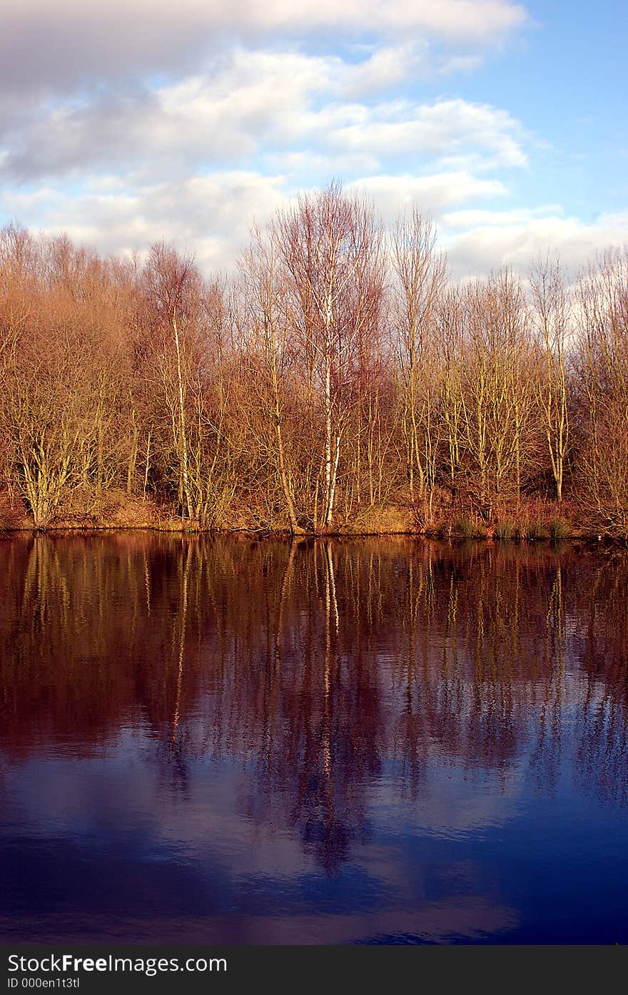 Reflection of trees by the side of a lake in winter. Reflection of trees by the side of a lake in winter