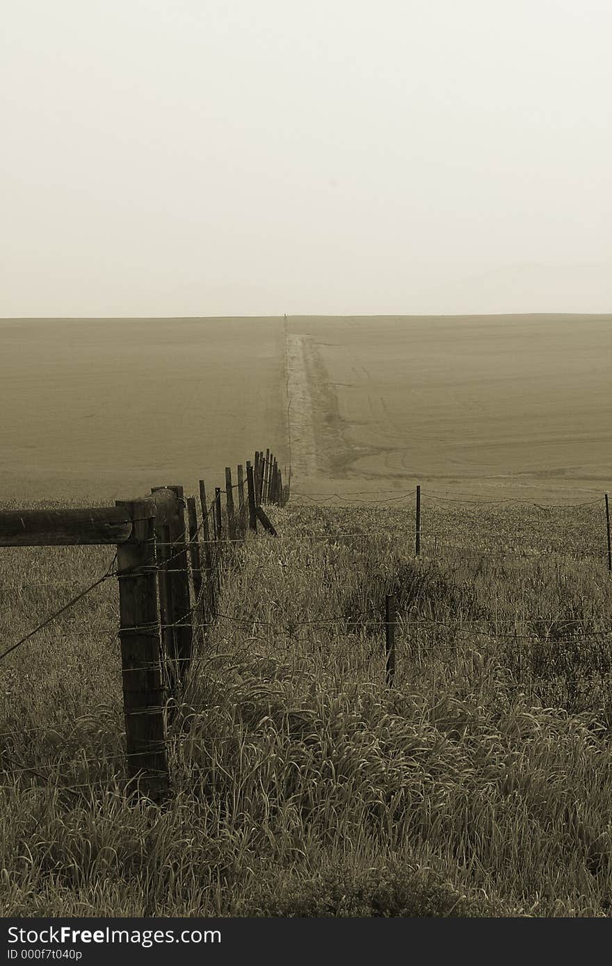 Sepia toned wheatfield with a fence and track leading off into the distance. Sepia toned wheatfield with a fence and track leading off into the distance.