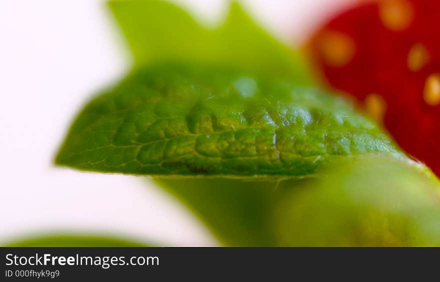 Macro image of a Strawberry green leaf. Macro image of a Strawberry green leaf