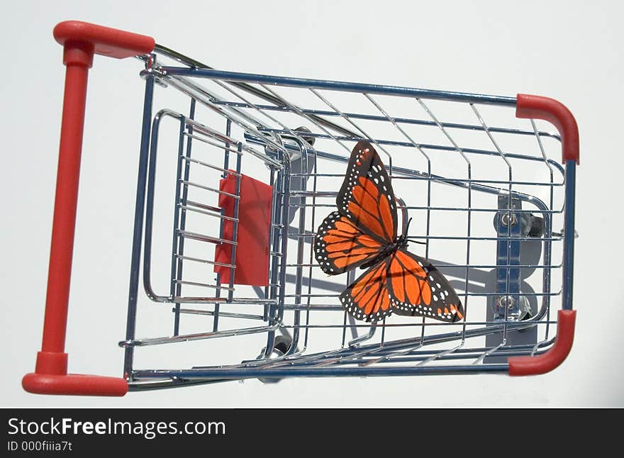 Butterfly inside shopping cart. Butterfly inside shopping cart