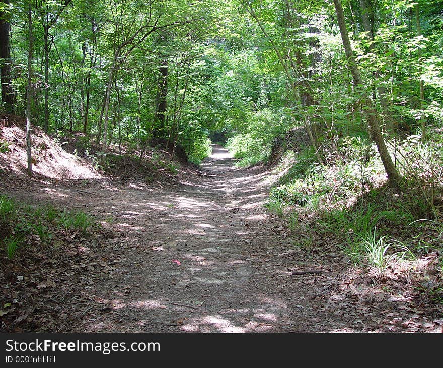 Pathway through the forest