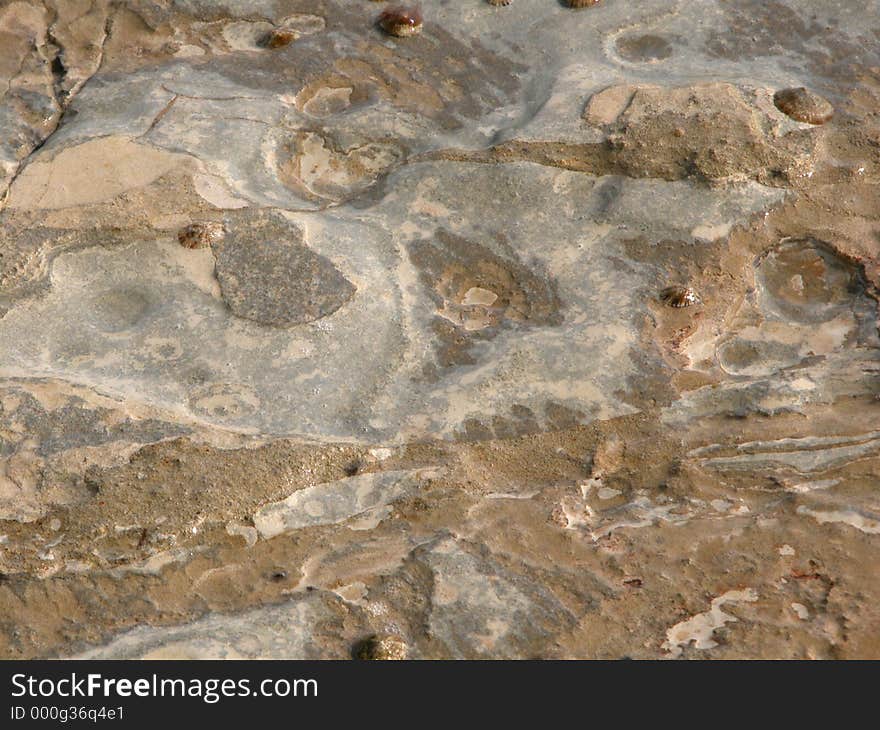 Sea rock with water. Sea rock with water