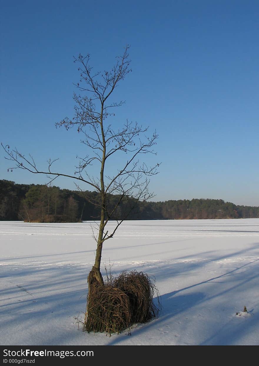 Winter lake.