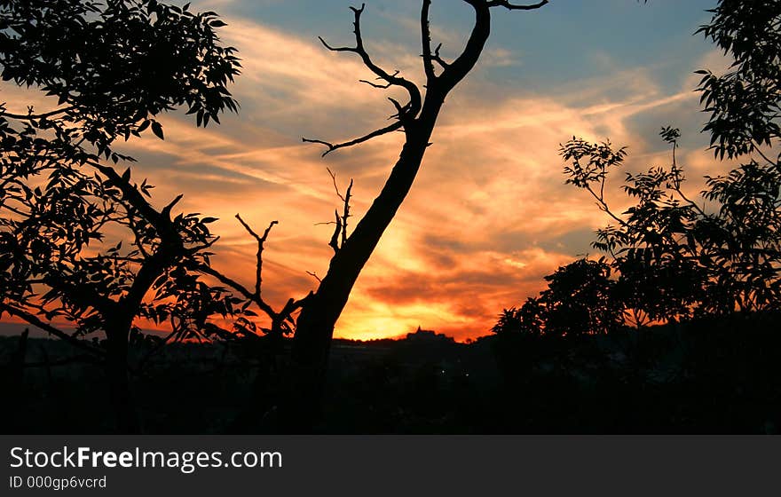 A lovely sky as seen through some trees during this sunset in Branson MO, USA. A lovely sky as seen through some trees during this sunset in Branson MO, USA