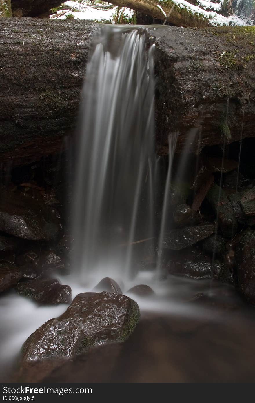 Small waterfall running off of log near Larch Mountain in the Columbia River Gorge near Portland, Oregon. Small waterfall running off of log near Larch Mountain in the Columbia River Gorge near Portland, Oregon.