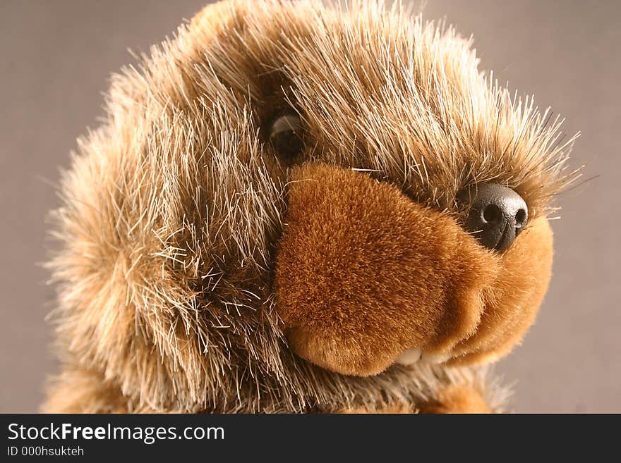 A stuffed groundhog