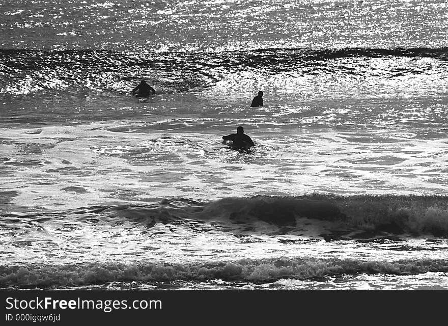 Group of surfers paddling out in the waves, in New England. Black & white. Group of surfers paddling out in the waves, in New England. Black & white.