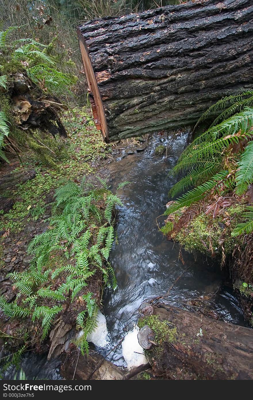 Waterfall under cut tree