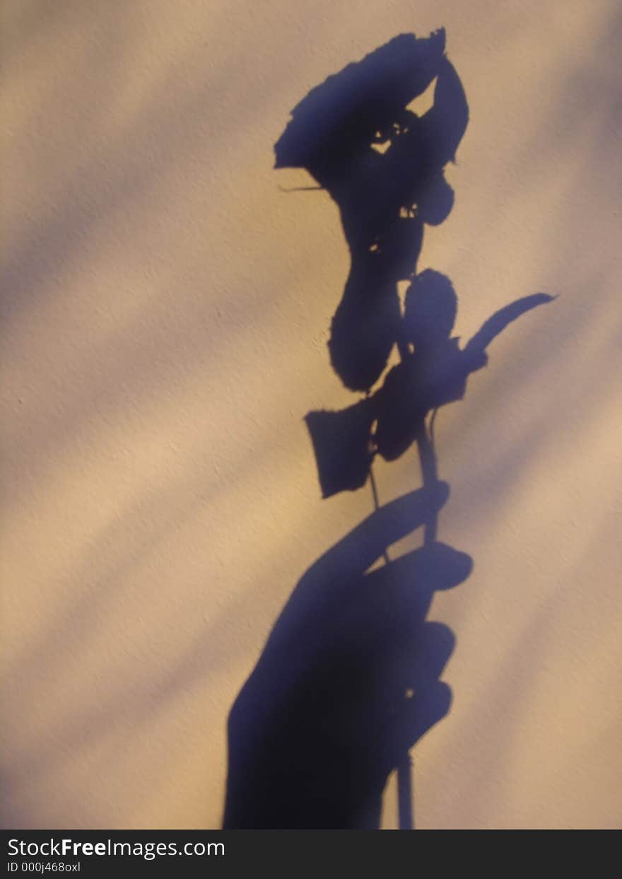 Flower shadow