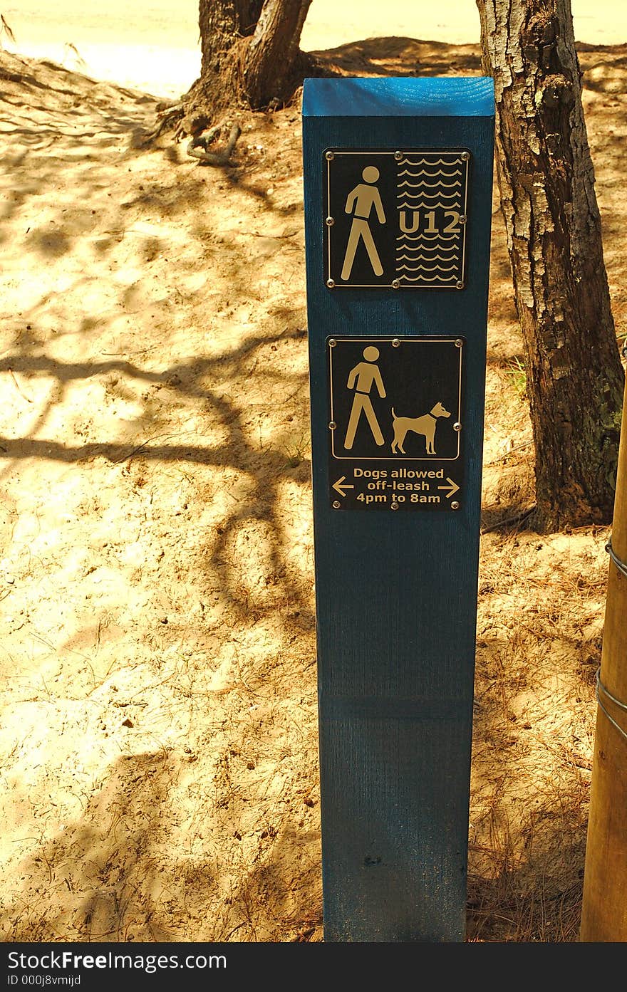 Dog on beach sign