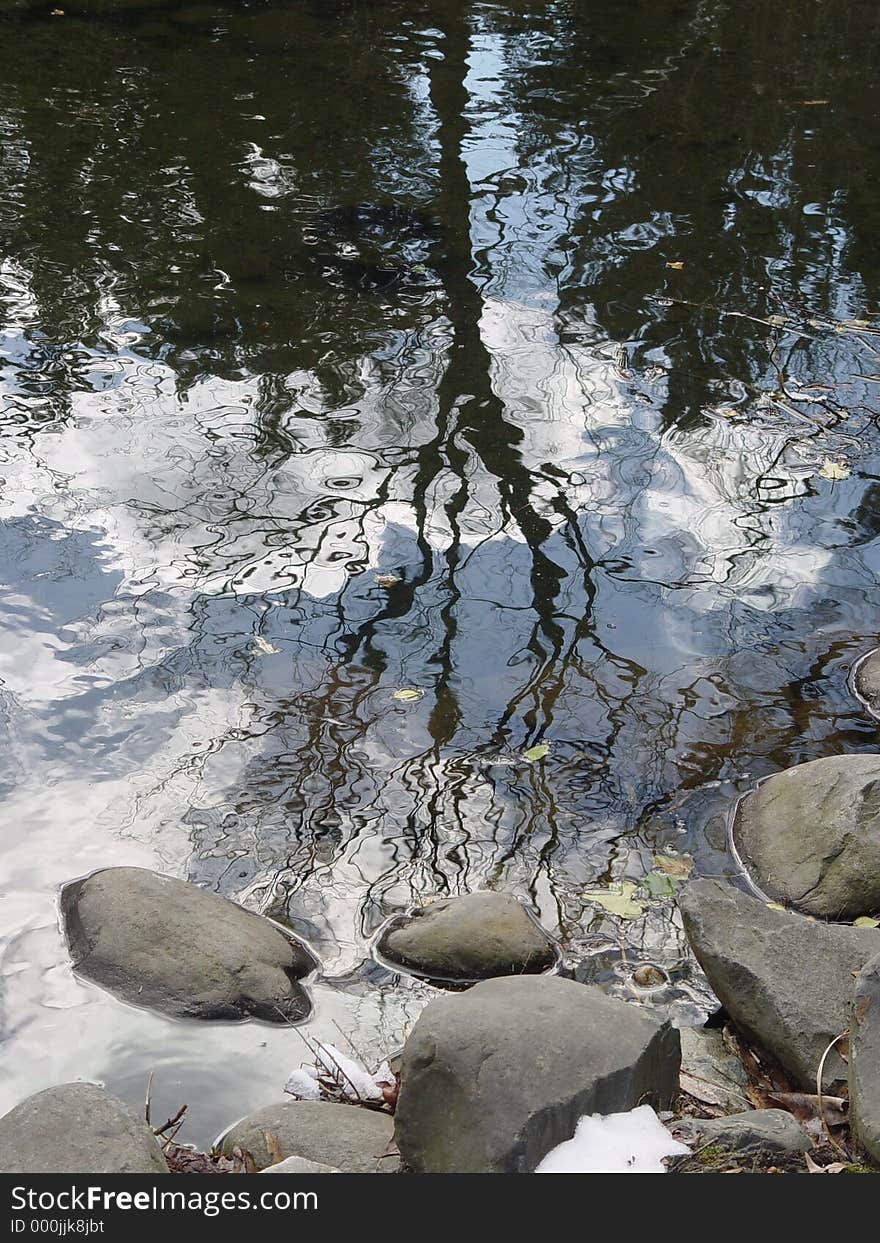 Lovely morning light provided this reflection in a fish and lily pond. Lovely morning light provided this reflection in a fish and lily pond.