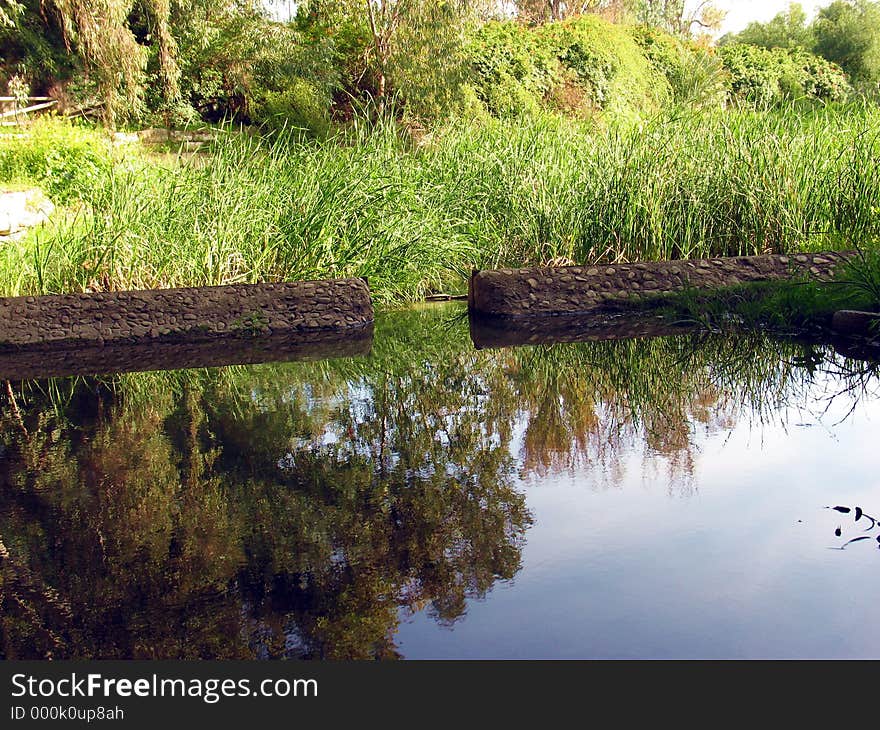 Green Reflections