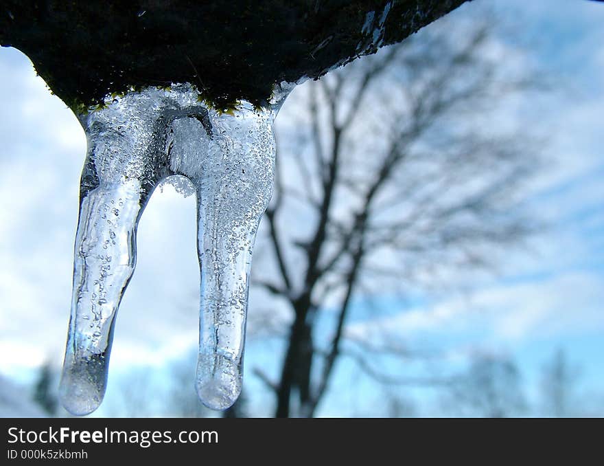 Icicle from roof, in background tree