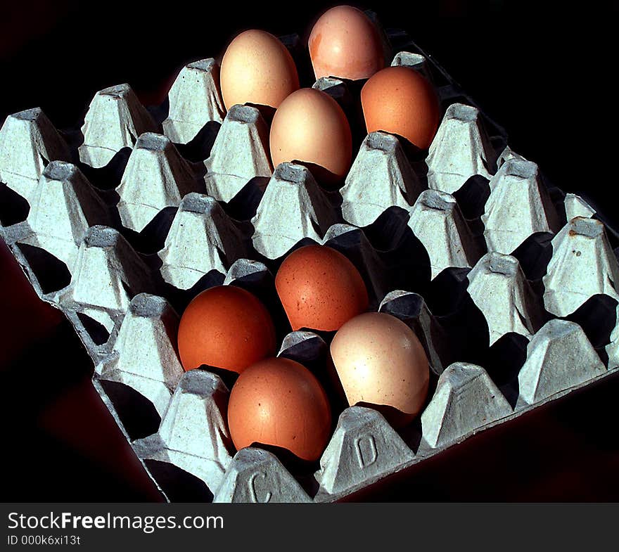 Tray of fresh, brown eggs. Tray of fresh, brown eggs