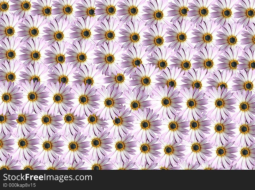 Pattern of flowers. Pattern of flowers