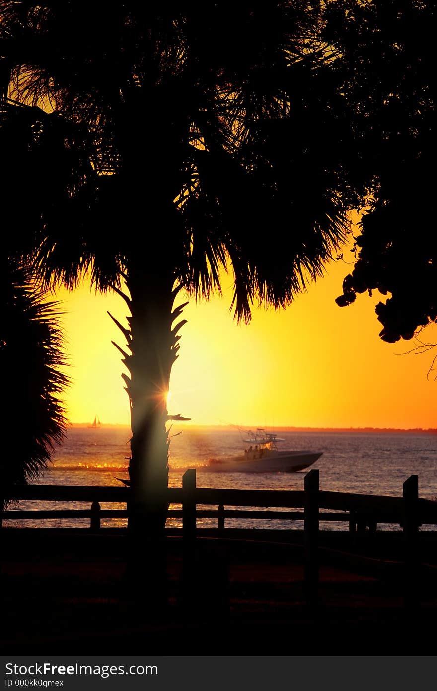 Florida sunset with palm tree and boat. Focus is on the palm tree. Florida sunset with palm tree and boat. Focus is on the palm tree.