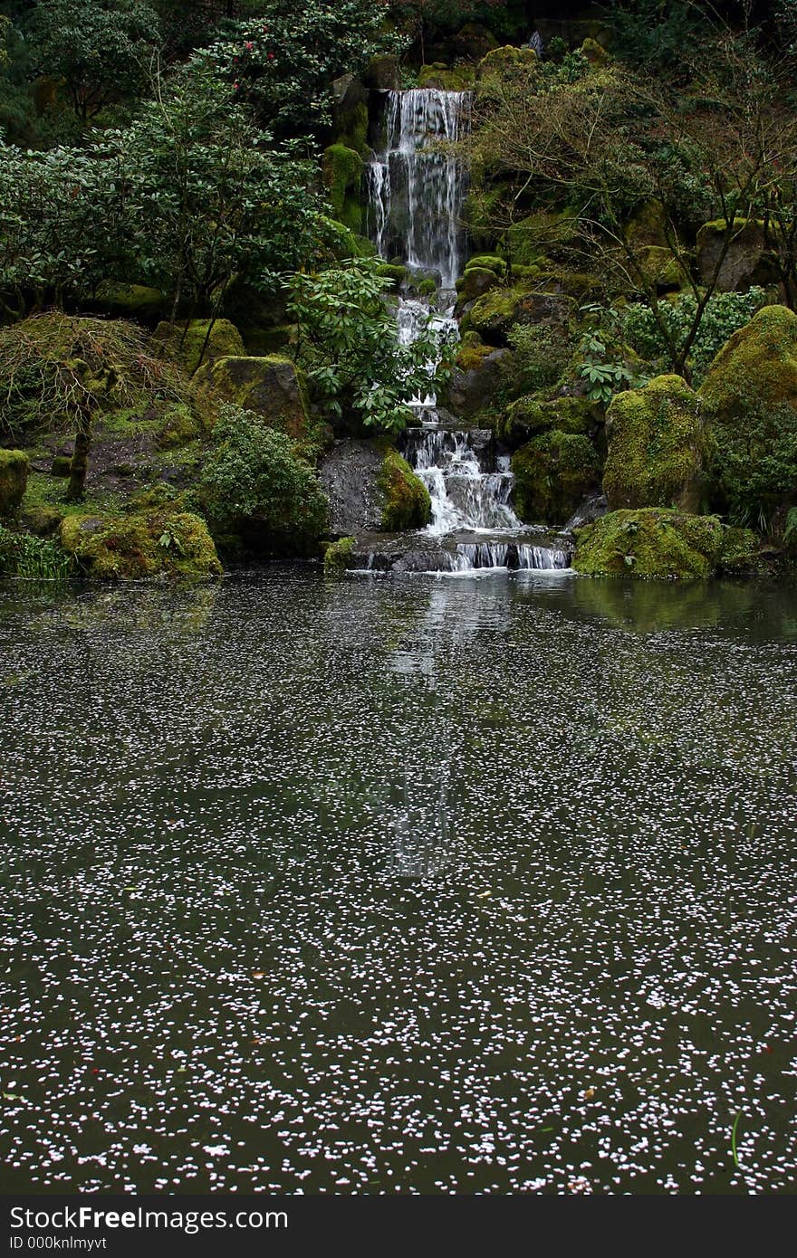 Waterfall behind pond covered in flower petals. Waterfall behind pond covered in flower petals.