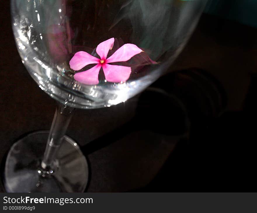 A flower in a wine glass. A flower in a wine glass