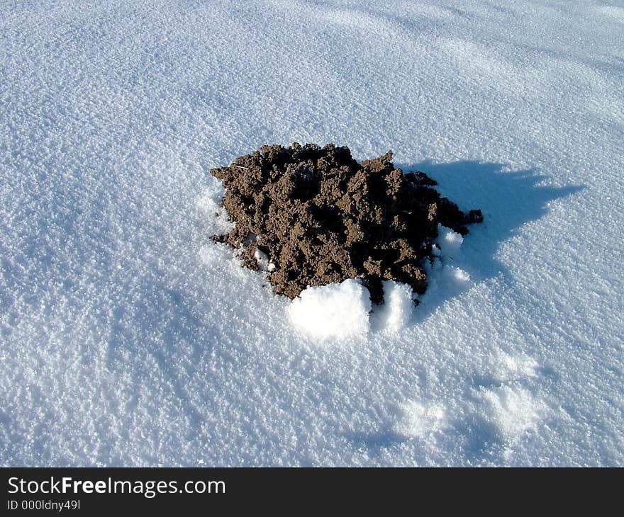 Mole-hill in winter, nature photo. Mole-hill in winter, nature photo