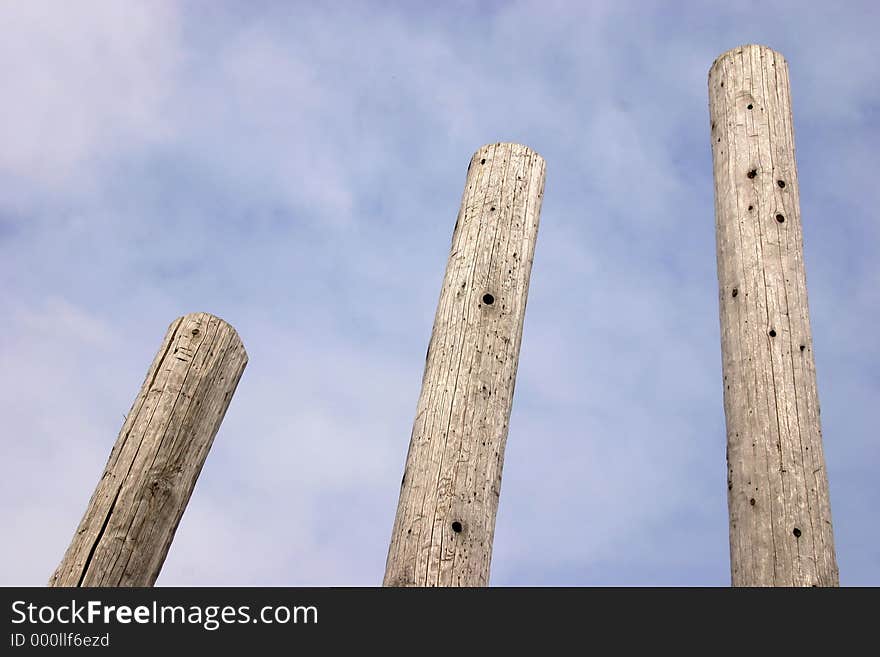 Three trees