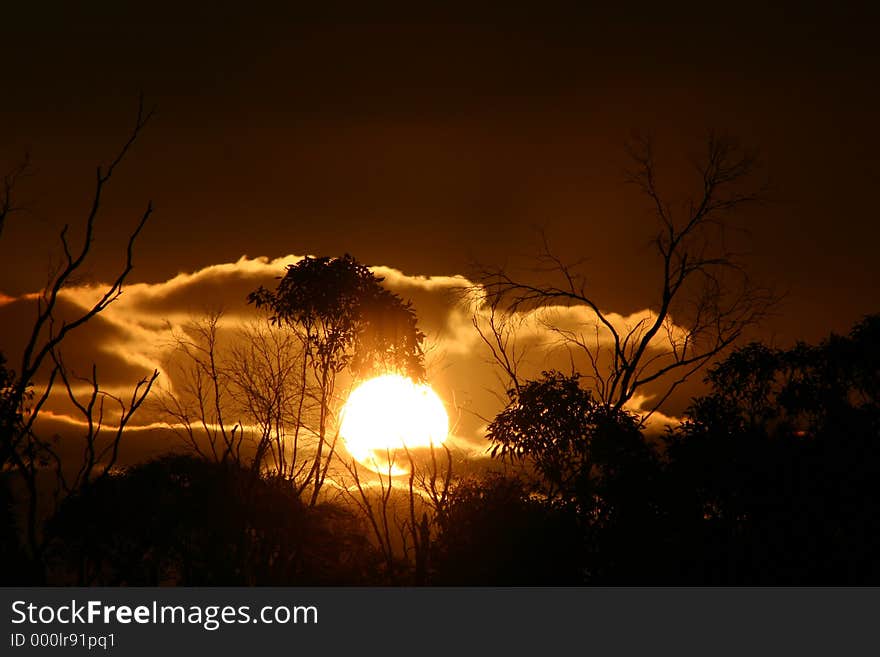 Sunset with trees in foreground