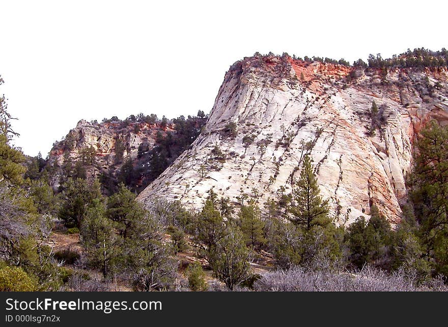 Zion National Park 6