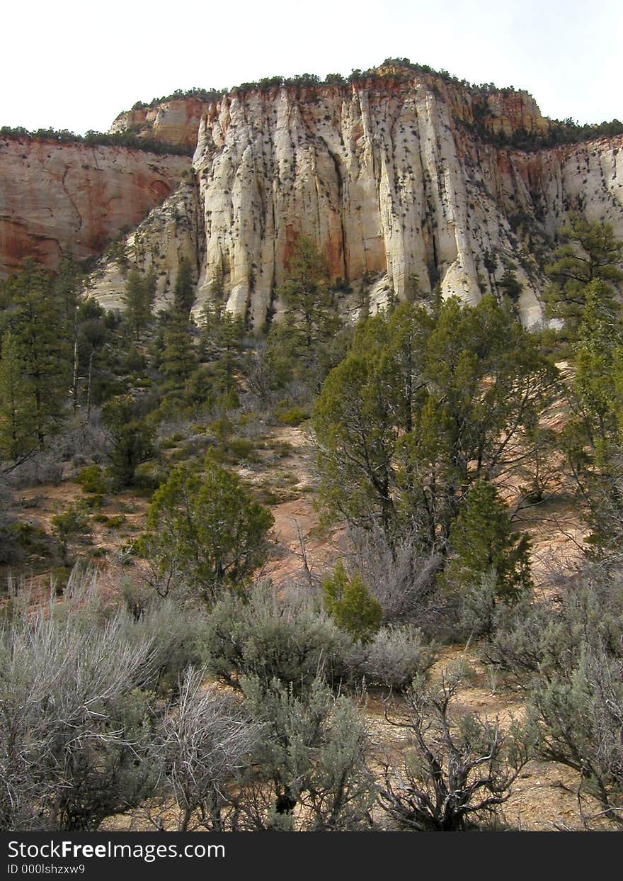 Zion National Park 5