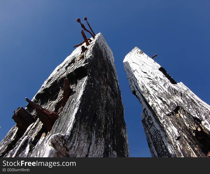 Wooden Posts