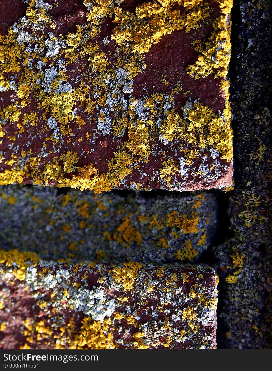 Closeup of bricks with moss