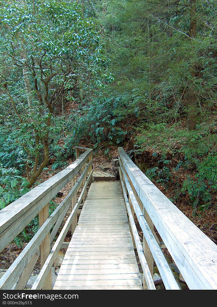 Mountain bridge. Mountain bridge