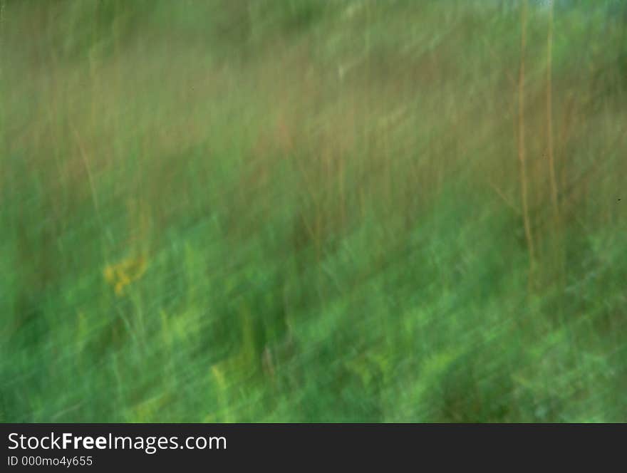 An accidental picture that I think looks good. It was taken while trying to track down a butterfly that kept fluttering around. An accidental picture that I think looks good. It was taken while trying to track down a butterfly that kept fluttering around