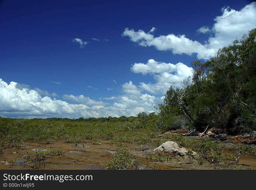 A coastline in pristine condition. A coastline in pristine condition.