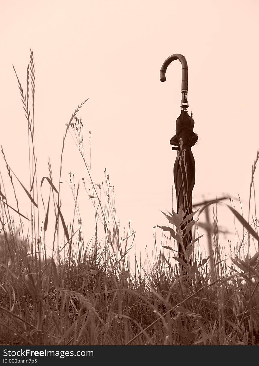 An old black umbrella stands alone at the top of a hill against the sky with tall grass growing around it. An old black umbrella stands alone at the top of a hill against the sky with tall grass growing around it