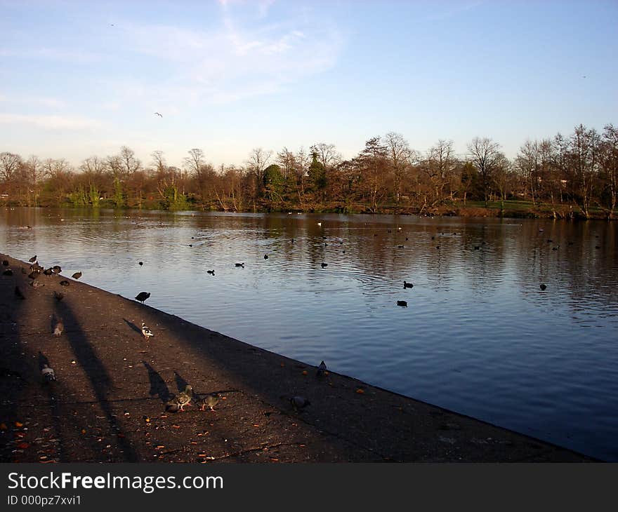 This is the lake in Valentines Park Ilford. This is the lake in Valentines Park Ilford.