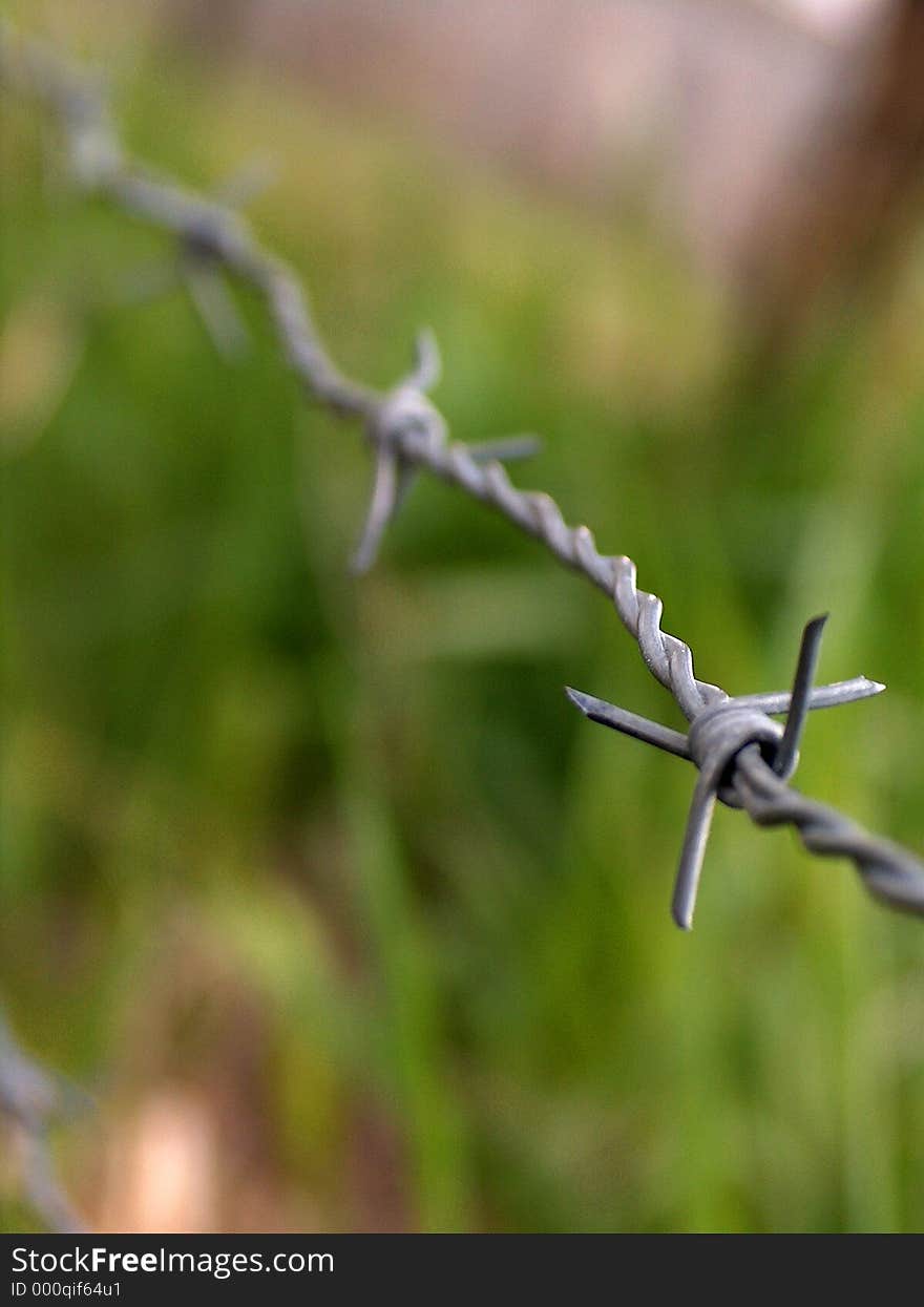 Macro shot of a barbed wire fence. Macro shot of a barbed wire fence