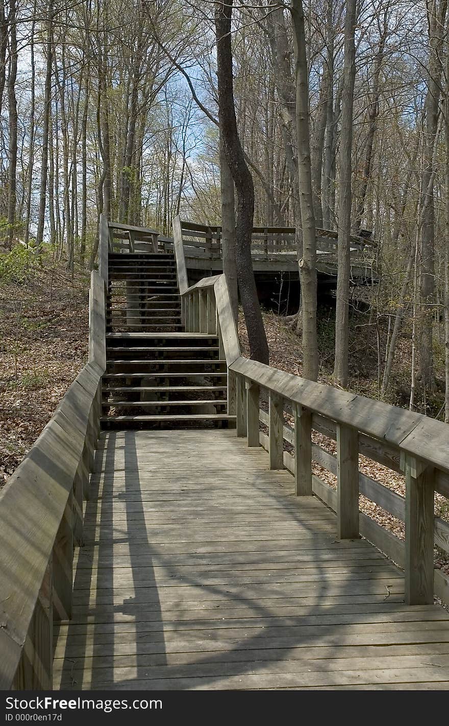 A boardwalk leads through the forest to a platform that overlooks the forest. A boardwalk leads through the forest to a platform that overlooks the forest.