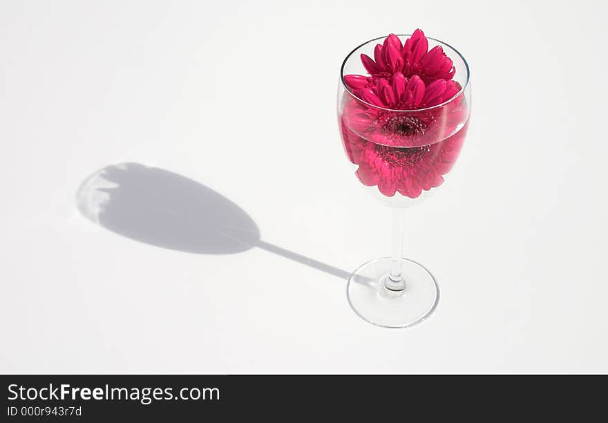 Red wine, like drinking flowers - concept shot